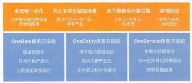 澳门王中王六码新澳门|实践数据解释落实_更换集.0.941