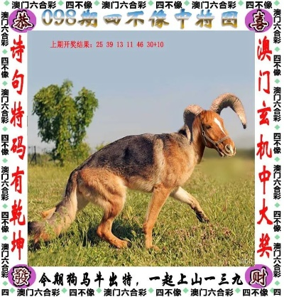 澳门四不像凤凰劫网站|收益成语分析落实_精细款.0.818