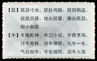 澳门传真内部绝密信封|深入分析科技相关成语的内涵_战略版.4.327